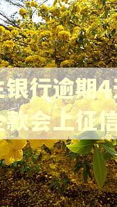 民生银行逾期4天还了全款会上征信吗