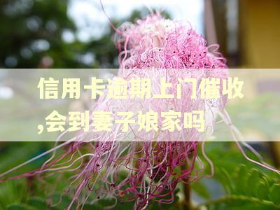 信用卡逾期上门催收,会到妻子娘家吗