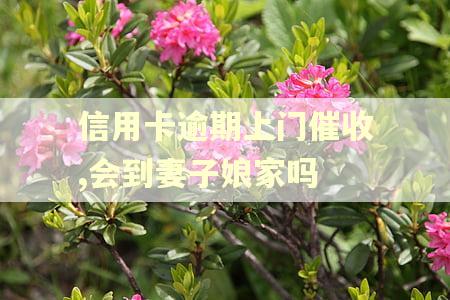 信用卡逾期上门催收,会到妻子娘家吗 信用卡逾期上门催收,会到妻子娘家吗