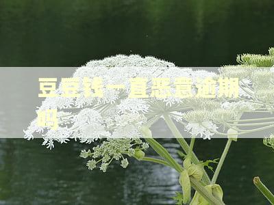 豆豆钱一直恶意逾期吗