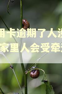信用卡逾期了人没在家,家里人会受牵连吗 信用卡逾期了人没在家,家里人会受牵连吗