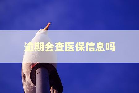 逾期会查医保信息吗