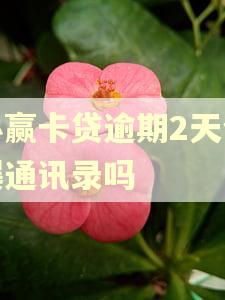 小赢卡贷逾期2天会爆通讯录吗