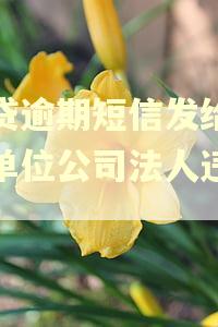 网贷逾期短信发给工作单位公司法人违法吗