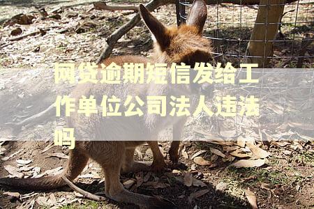 网贷逾期短信发给工作单位公司法人违法吗