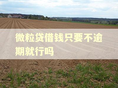 微粒贷借钱只要不逾期就行吗