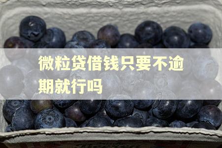 微粒贷借钱只要不逾期就行吗