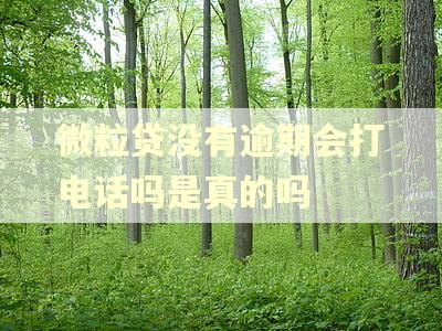 微粒贷没有逾期会打电话吗是真的吗