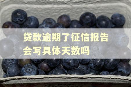 贷款逾期了征信报告会写具体天数吗