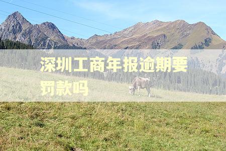 深圳工商年报逾期要罚款吗
