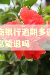 招商银行逾期多还的利息能退吗