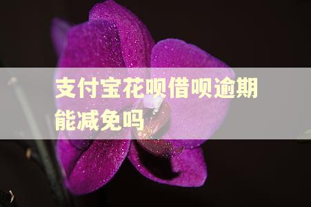 支付宝花呗借呗逾期能减免吗 支付宝花呗借呗逾期能减免吗