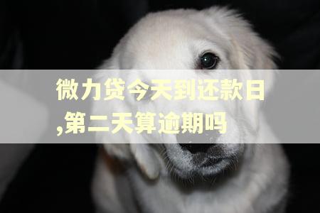 微力贷今天到还款日,第二天算逾期吗