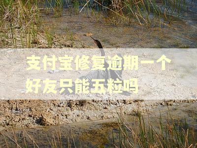 支付宝修复逾期一个好友只能五粒吗