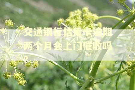 交通银行信用卡逾期两个月会上门催收吗?