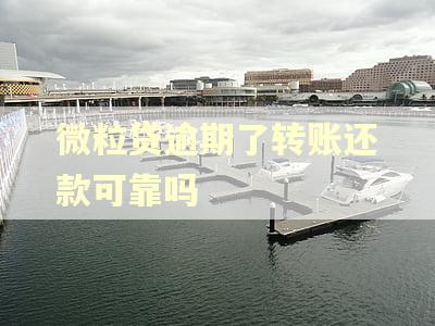 微粒贷逾期了转账还款可靠吗