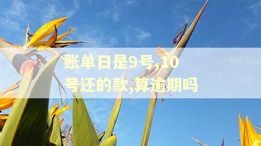 账单日是9号,10号还的款,算逾期吗