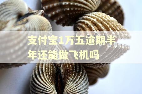 支付宝1万五逾期半年还能做飞机吗