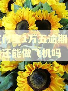 支付宝1万五逾期半年还能做飞机吗