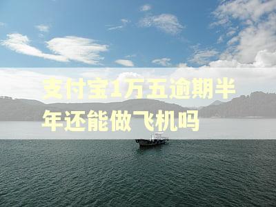 支付宝1万五逾期半年还能做飞机吗 支付宝1万五逾期半年还能做飞机吗