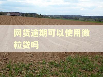 网货逾期可以使用微粒贷吗