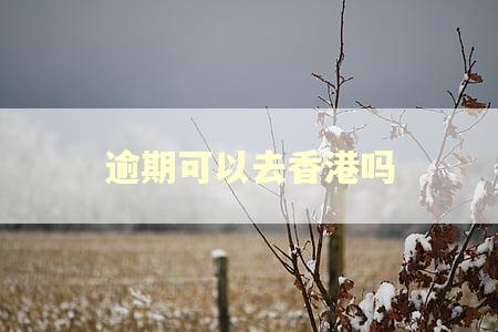 逾期可以去香港吗