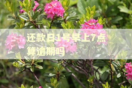 还款日1号早上7点算逾期吗