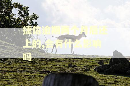 捷信逾期两个月后还上的,会有什么影响吗