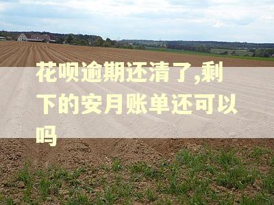 花呗逾期还清了,剩下的安月账单还可以吗