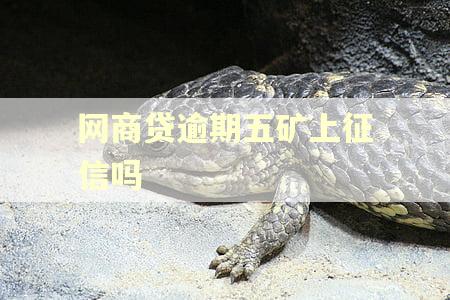 网商贷逾期五矿上征信吗