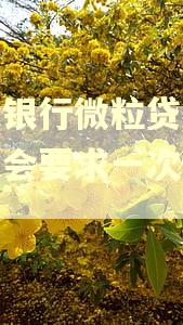 微众银行微粒贷逾期三天会要求一次性还吗