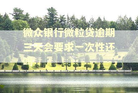 微众银行微粒贷逾期三天会要求一次性还吗