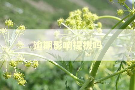 逾期影响提拔吗