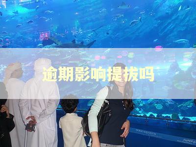 逾期影响提拔吗 逾期影响提拔吗