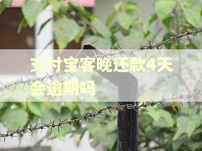 支付宝客晚还款4天会逾期吗