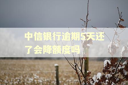 中信银行逾期5天还了会降额度吗