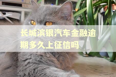 长城滨银汽车金融逾期多久上征信吗