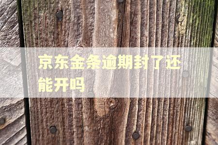 京东金条逾期封了还能开吗