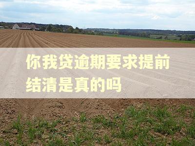 你我贷逾期要求提前结清是真的吗