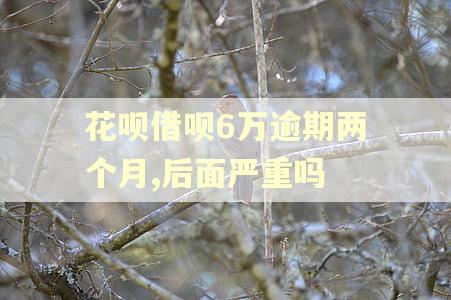 花呗借呗6万逾期两个月,后面严重吗