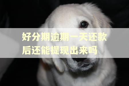 好分期逾期一天还款后还能提现出来吗