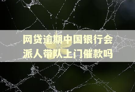 网贷逾期中国银行会派人带队上门催款吗