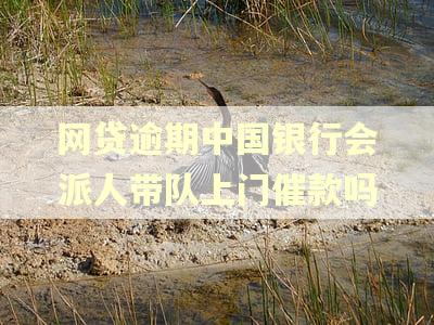 网贷逾期中国银行会派人带队上门催款吗