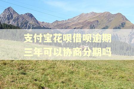 支付宝花呗借呗逾期三年可以协商分期吗