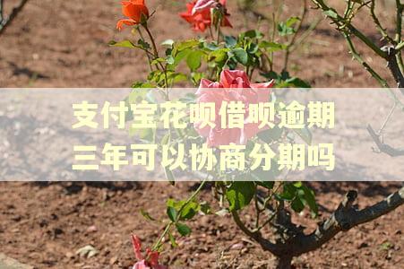 支付宝花呗借呗逾期三年可以协商分期吗