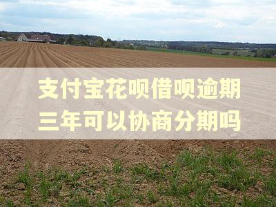 支付宝花呗借呗逾期三年可以协商分期吗