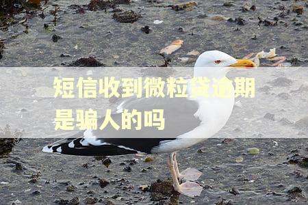 短信收到微粒贷逾期是骗人的吗 短信收到微粒贷逾期是骗人的吗