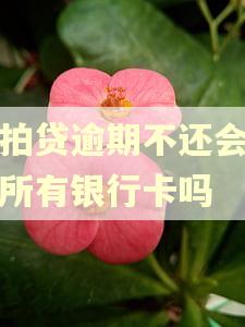拍拍贷逾期不还会冻结所有银行卡吗 拍拍贷逾期不还会冻结所有银行卡吗