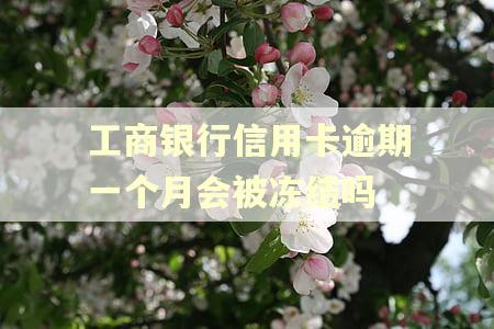 工商银行信用卡逾期一个月会被冻结吗