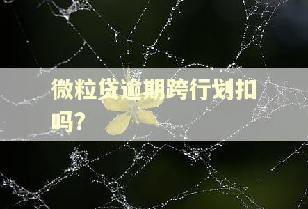 微粒贷逾期跨行划扣吗?